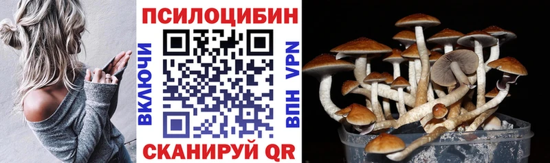 Купить закладки  Мышкин  Галлюциногенные грибы Psilocybine cubensis 